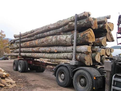 Camion de 25 stères de bois en grume | Hêtre, Chêne, Charme – Bois de chauffage de qualité