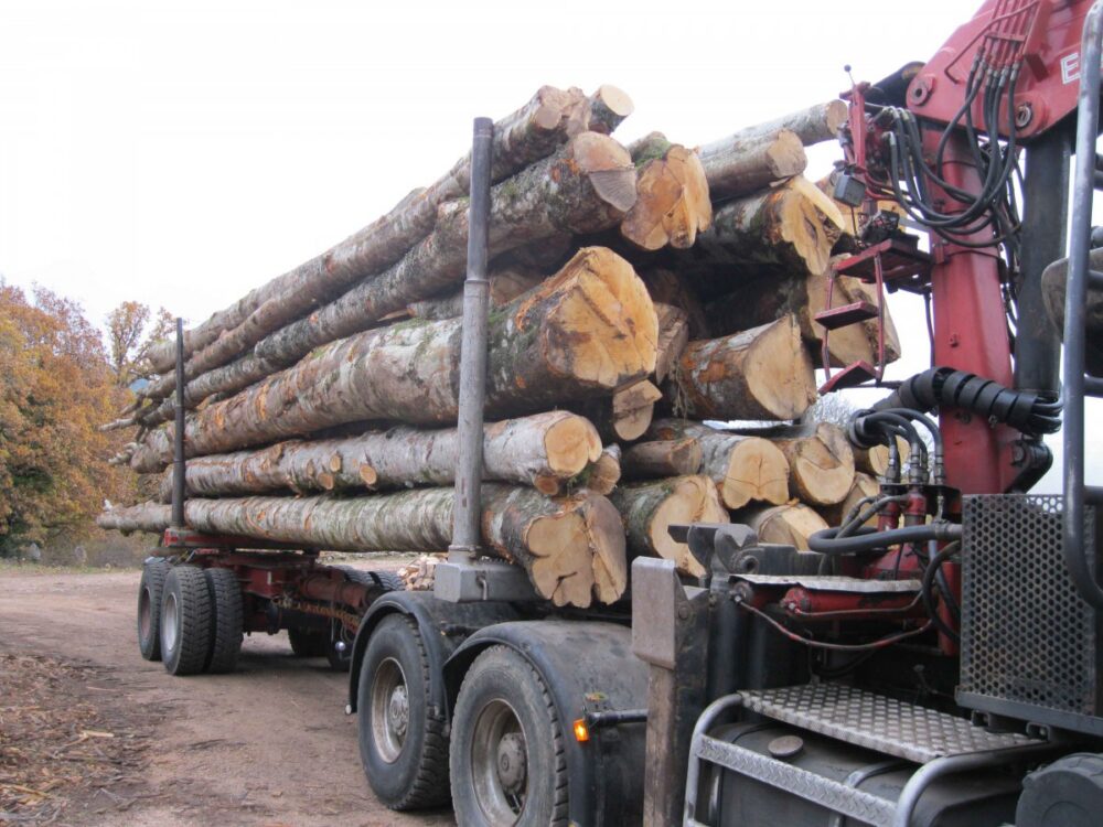 Camion de 60 stères, Hêtre Chêne Charme en grume